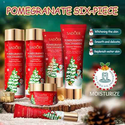 Red Pomegranate Niacinamide Antioxidant Brightening Skin Care Gift Set