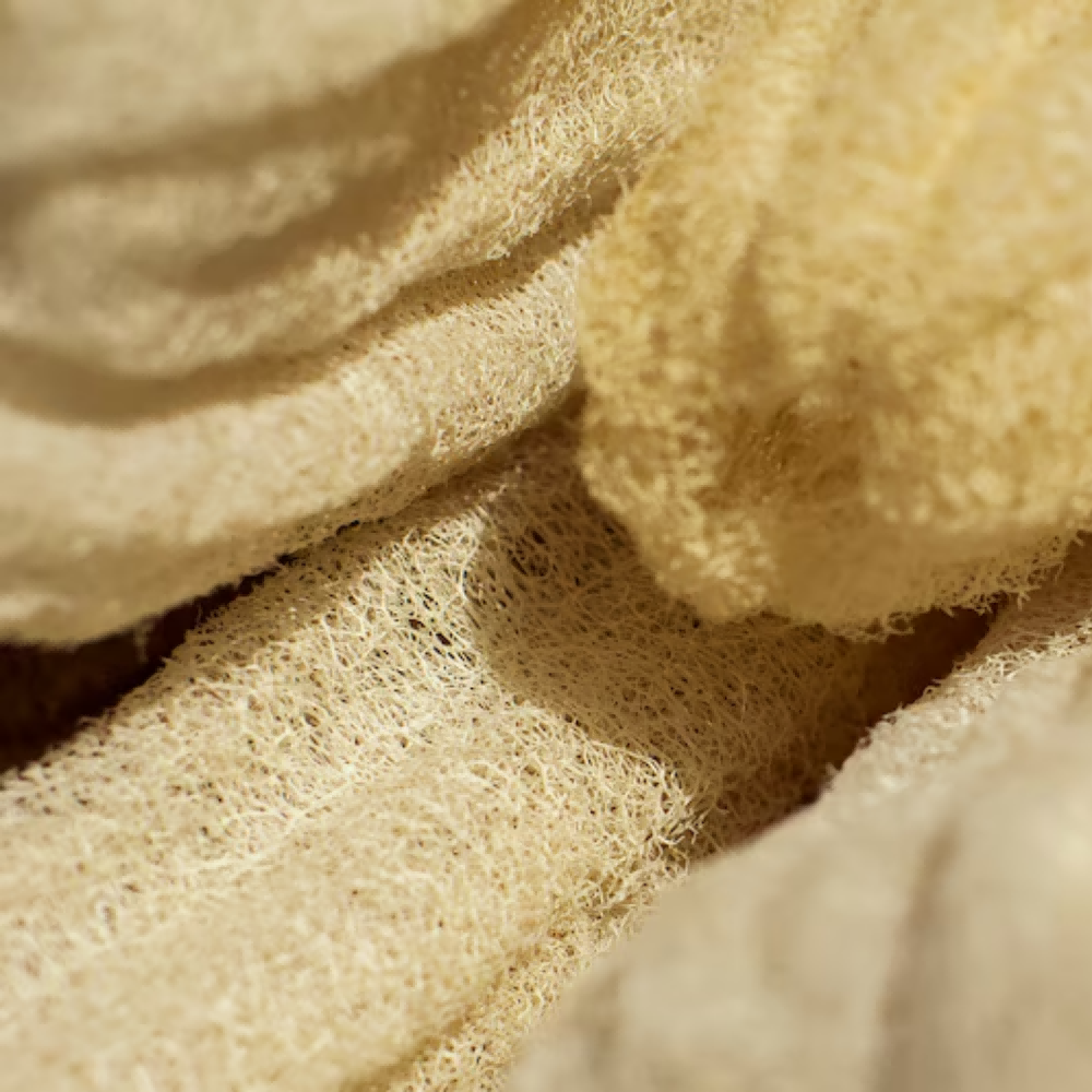 Alojalife-Natural One Whole Natural Loofah Sponges-Primary Colour