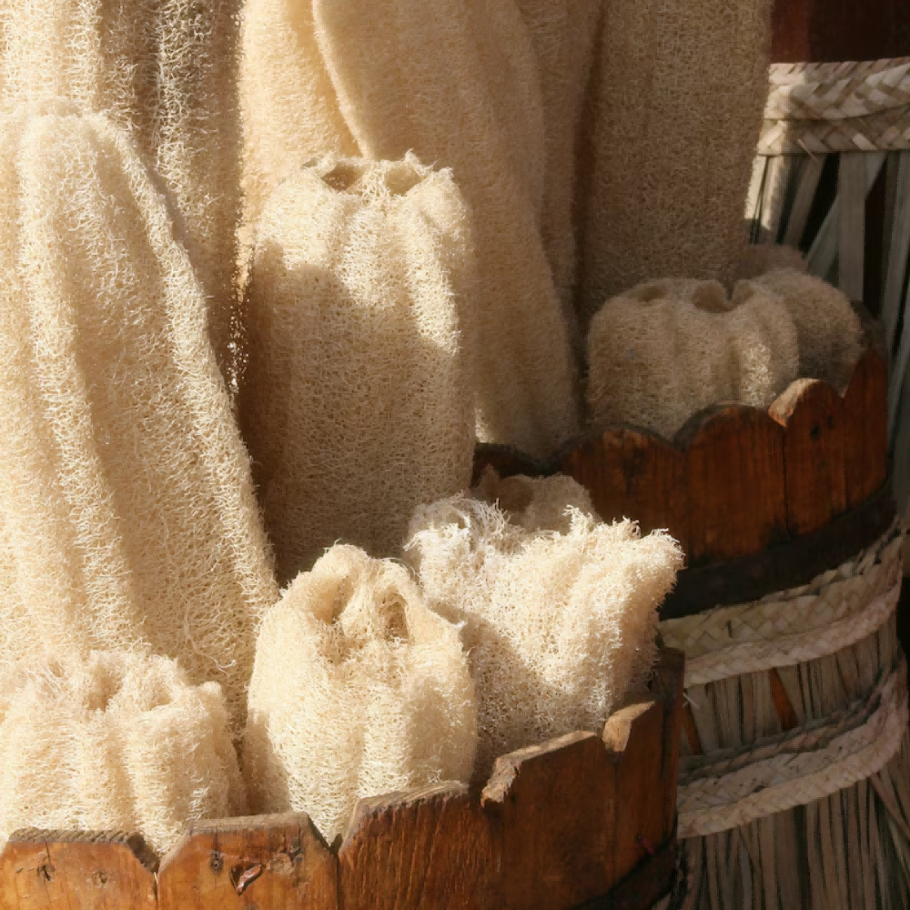 Alojalife-Natural One Whole Natural Loofah Sponges-Primary Colour