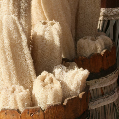 Alojalife-Natural One Whole Natural Loofah Sponges-Primary Colour