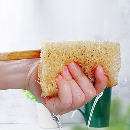 Short Wooden Handle Natural Loofah Sponges