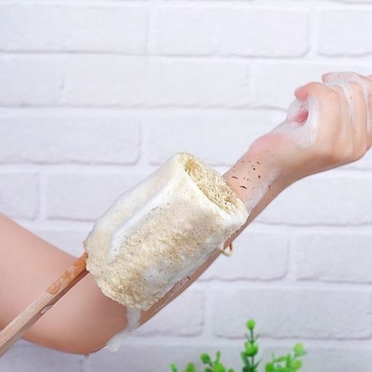 Short Wooden Handle Natural Loofah Sponges