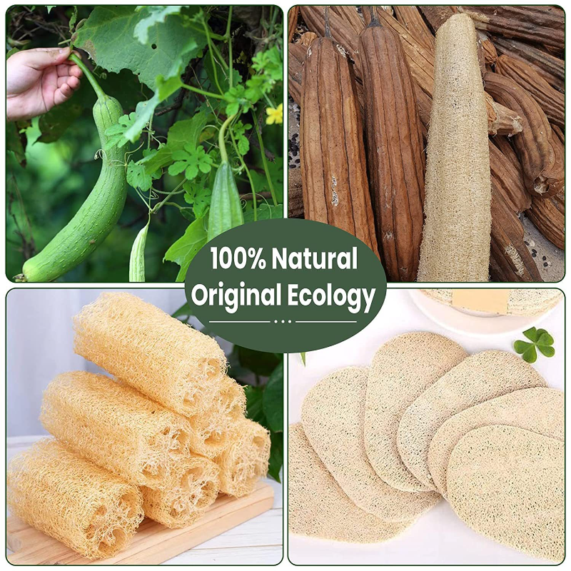 Short Wooden Handle Natural Loofah Sponges